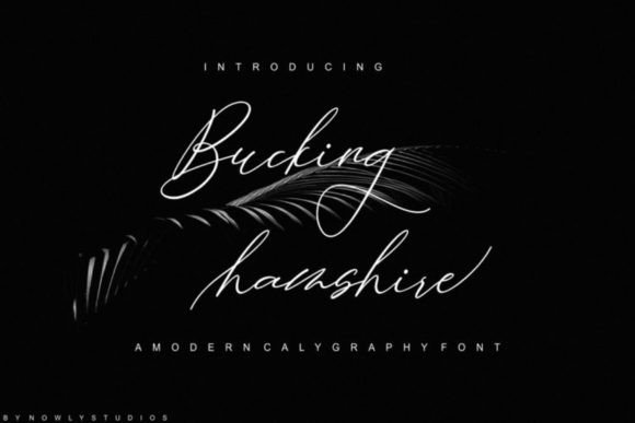 Elevate Your Brand with Bucking Hamshire Script Font