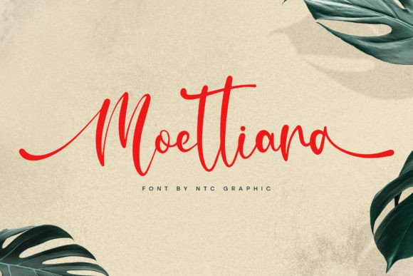 Moettiara Font Review: A Minimalist Script for Campaigns