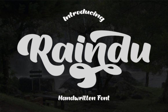Raindu Font Review: Bold Script for Campaigns